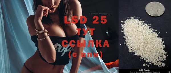 mix Снежногорск