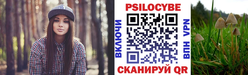Псилоцибиновые грибы Psilocybe  цены наркотик  нарко площадка какой сайт  Ишимбай  hydra вход 